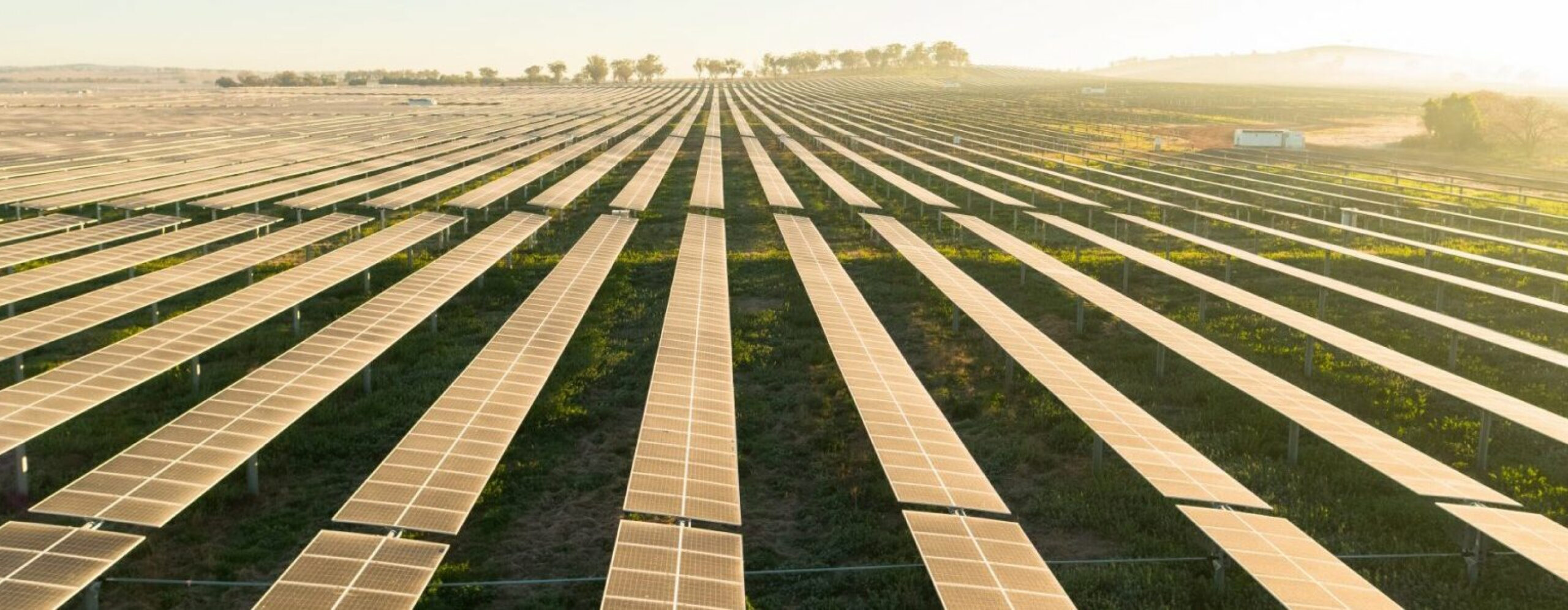 Aerial view of a vast solar farm at sunrise or sunset, showcasing rows of solar panels generating clean energy.