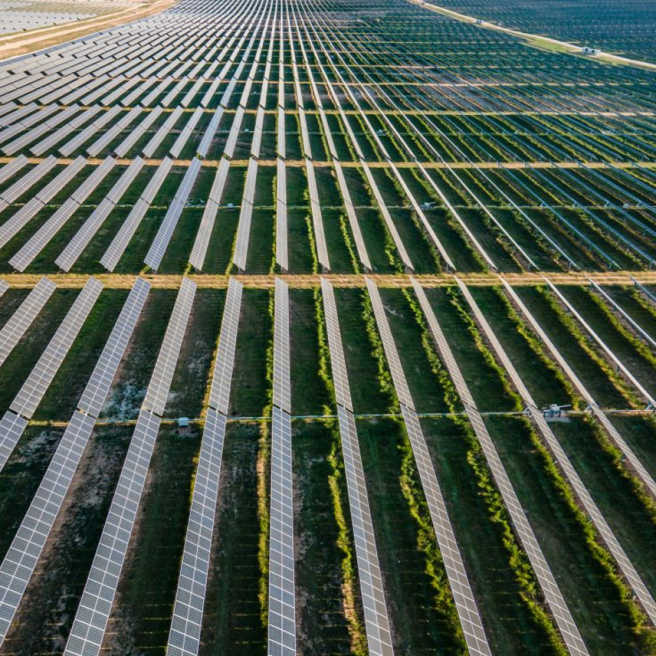 Aerial view of a large-scale solar farm with rows of solar panels generating clean energy.
