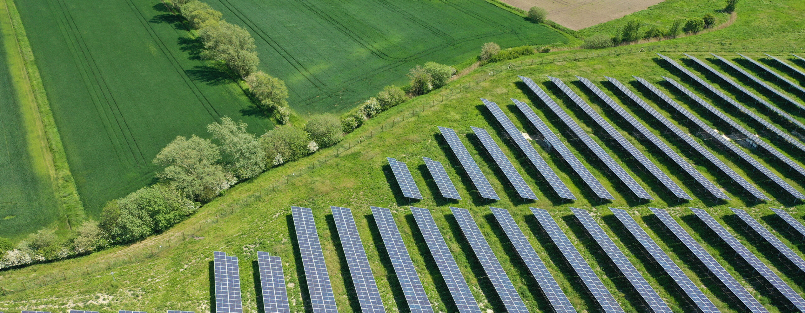 Aerial view of a solar farm with rows of panels on a green field