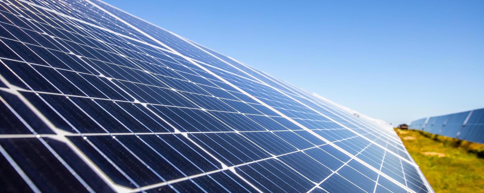 Close-up view of large blue solar panels angled towards the clear sky, installed on grassy land, capturing sunlight for renewable energy.